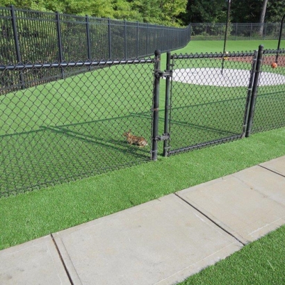 Grass Carpet Watrous, New Mexico Paver Patio, Recreational Areas