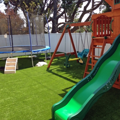 Grass Installation Dora, New Mexico Design Ideas, Backyards