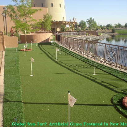 Grass Installation Los Ranchos de Albuquerque, New Mexico Home And Garden, Backyard Ideas