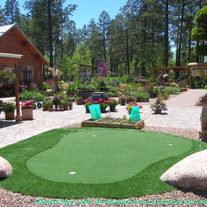 Grass Turf Lee Acres, New Mexico Landscaping, Backyard Designs