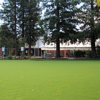 Grass Turf Quemado, New Mexico Landscaping, Recreational Areas