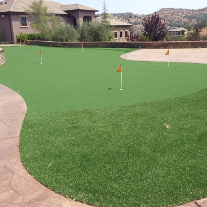 Green Lawn Folsom, New Mexico Indoor Putting Green