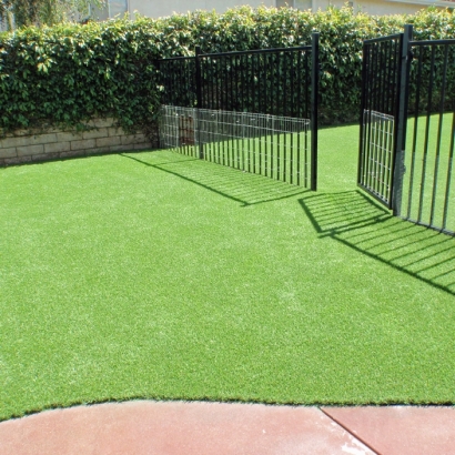 Green Lawn Mimbres, New Mexico Watch Dogs, Front Yard Landscape Ideas