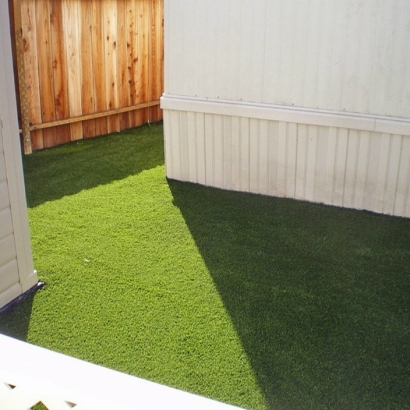 Green Lawn Ruidoso, New Mexico Cat Grass, Backyard Design