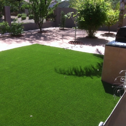Installing Artificial Grass Sunland Park, New Mexico Dog Pound, Backyard