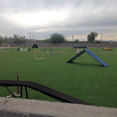 Lawn Services Capulin, New Mexico High School Sports, Parks