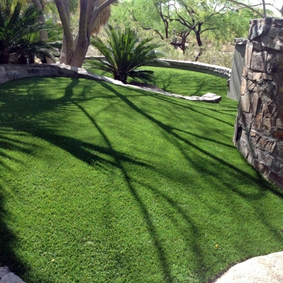 Synthetic Grass Cochiti Lake, New Mexico Landscape Photos