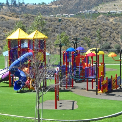 Synthetic Grass Cost Blanco, New Mexico Kids Indoor Playground, Parks