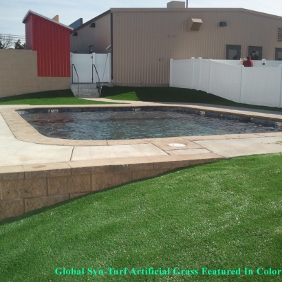 Synthetic Grass Cost Cedro, New Mexico Home And Garden, Swimming Pool Designs