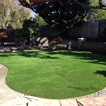 Synthetic Grass Cost Elida, New Mexico Garden Ideas, Backyard Landscaping Ideas