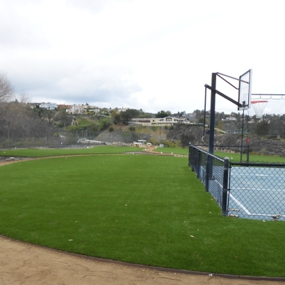 Synthetic Grass Cost Meadow Lake, New Mexico Indoor Playground, Commercial Landscape