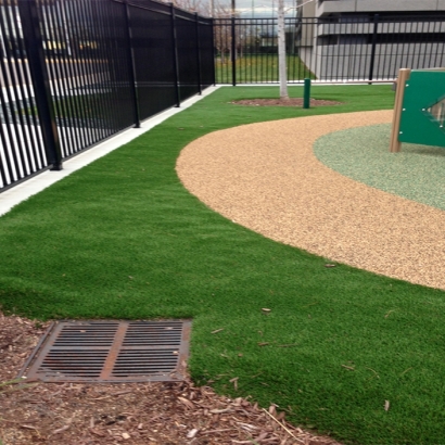 Synthetic Grass Cost Ribera, New Mexico Home And Garden, Commercial Landscape