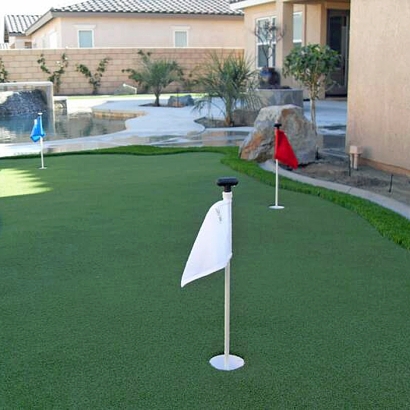 Synthetic Grass Cost Weed, New Mexico How To Build A Putting Green, Backyard Makeover