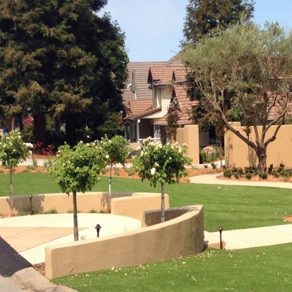 Synthetic Grass Fairacres, New Mexico City Landscape, Front Yard Landscaping