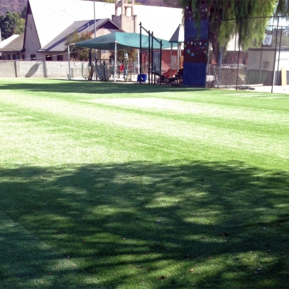 Synthetic Grass Soham, New Mexico Landscape Design, Parks