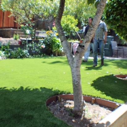 Synthetic Grass Vado, New Mexico Lawns, Backyard Ideas