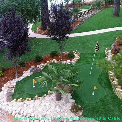 Synthetic Lawn Albuquerque, New Mexico Office Putting Green, Small Backyard Ideas