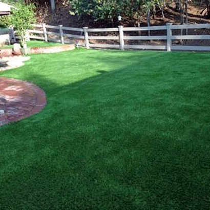 Synthetic Lawn Brazos, New Mexico Dog Hospital, Backyard Designs