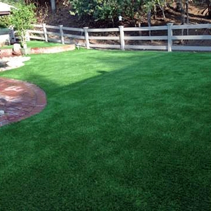 Synthetic Lawn Brazos, New Mexico Dog Hospital, Backyard Designs