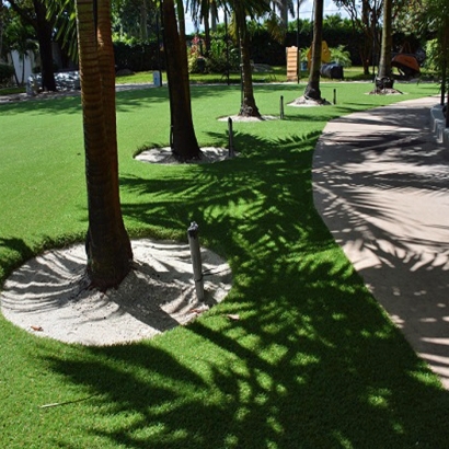Synthetic Lawn Cundiyo, New Mexico Lawn And Landscape, Commercial Landscape