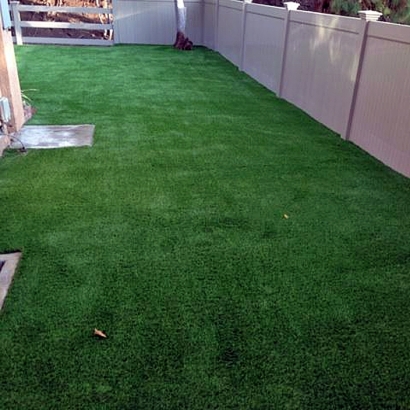 Synthetic Lawn Lake Sumner, New Mexico Dog Run, Backyard Garden Ideas