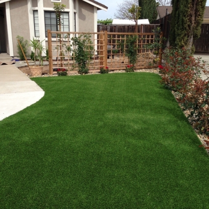 Synthetic Lawn Santa Teresa, New Mexico Landscaping, Landscaping Ideas For Front Yard