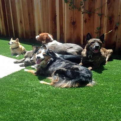 Synthetic Turf La Union, New Mexico Fake Grass For Dogs, Backyard Garden Ideas