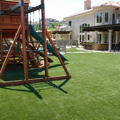 Synthetic Turf Lemitar, New Mexico Design Ideas, Backyard Landscaping Ideas