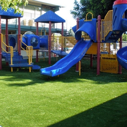 Synthetic Turf Supplier Aztec, New Mexico Lawn And Landscape, Commercial Landscape