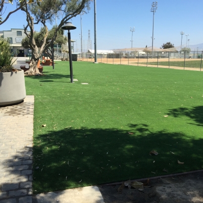 Synthetic Turf Supplier Meadow Lake, New Mexico Landscape Ideas, Parks