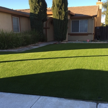 Synthetic Turf Supplier San Miguel, New Mexico Landscape Ideas, Front Yard Landscaping Ideas