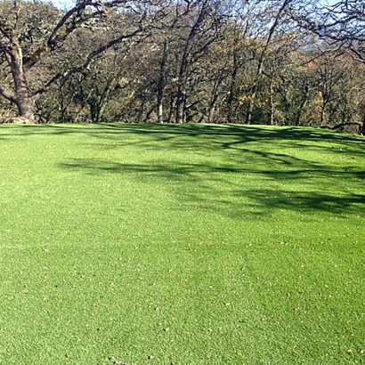 Synthetic Turf Supplier Silver City, New Mexico Lawn And Garden, Recreational Areas