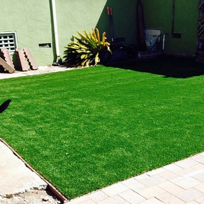 Synthetic Turf Supplier Vado, New Mexico Watch Dogs, Backyard Makeover