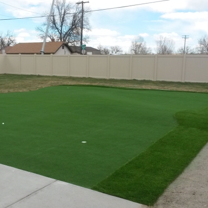 Synthetic Turf Windmill, New Mexico Putting Green Carpet, Backyards