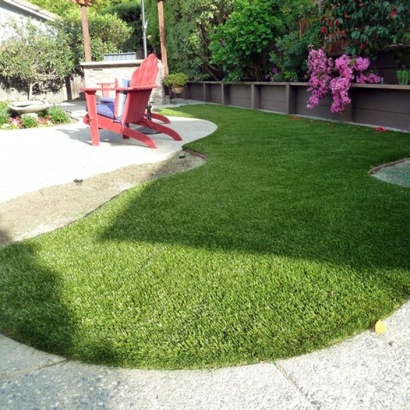 Turf Grass Anthony, New Mexico Dogs, Backyard Landscaping Ideas