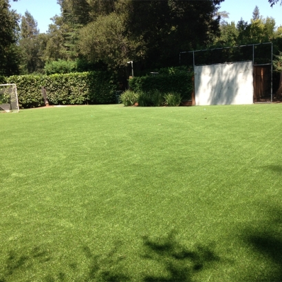 Turf Grass Bibo, New Mexico Soccer Fields, Backyard Garden Ideas