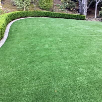 Turf Grass Chaparral, New Mexico Landscaping, Backyards