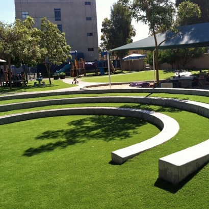 Turf Grass McIntosh, New Mexico Backyard Deck Ideas, Commercial Landscape