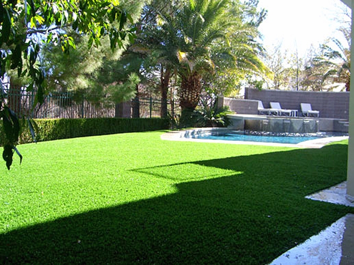 Artificial Grass Carpet Clayton, New Mexico Landscaping, Above Ground Swimming Pool