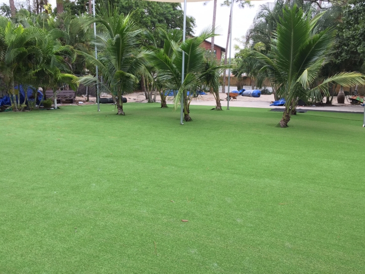 Artificial Grass Carpet Los Lunas, New Mexico Landscape Ideas, Commercial Landscape