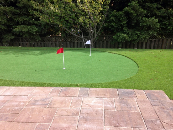 Artificial Grass Carpet Pueblitos, New Mexico Indoor Putting Greens, Backyards