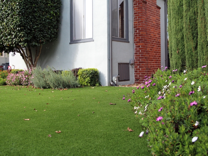 Artificial Grass Columbus, New Mexico Lawn And Landscape, Front Yard Landscape Ideas
