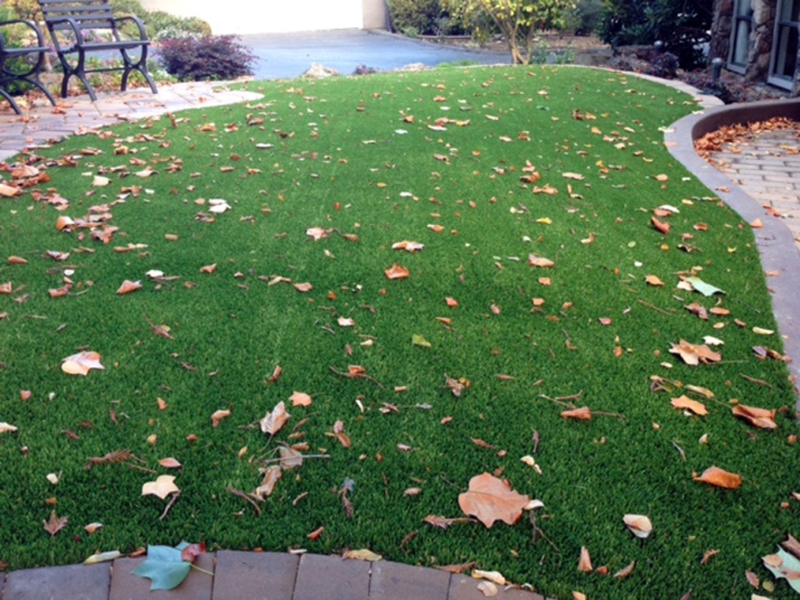 Artificial Grass Corona, New Mexico Lawn And Landscape, Landscaping Ideas For Front Yard