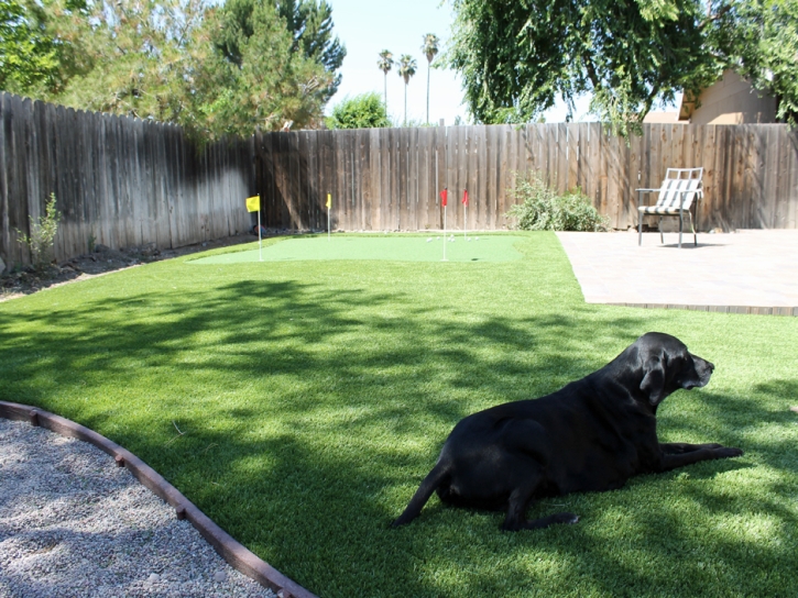 Artificial Grass Deming, New Mexico Home And Garden, Backyard Design