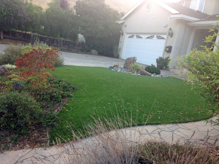 Artificial Grass Installation Canova, New Mexico Landscape Ideas, Front Yard Ideas