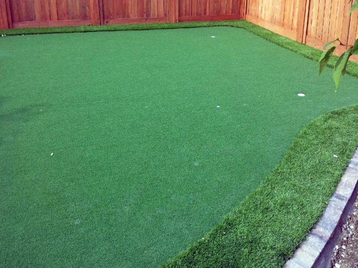 Artificial Grass Installation Ranchos de Taos, New Mexico Putting Green Turf, Backyard Landscape Ideas