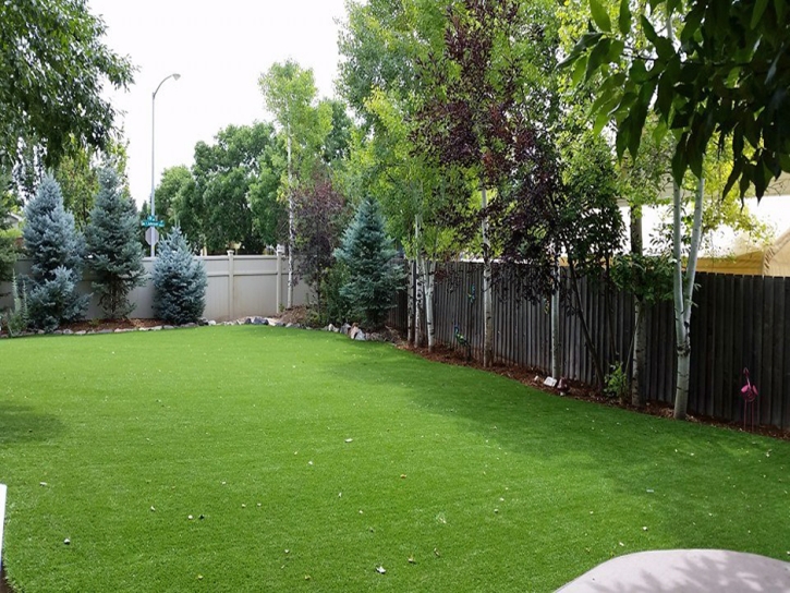 Artificial Lawn Luna, New Mexico Landscaping, Small Backyard Ideas