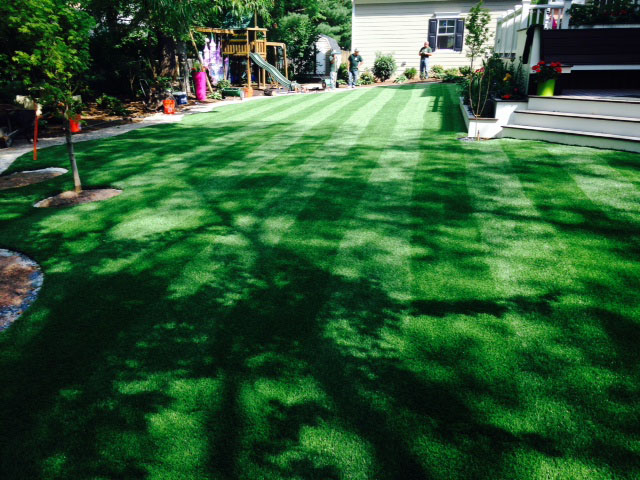 Artificial Lawn Placitas, New Mexico Rooftop, Beautiful Backyards