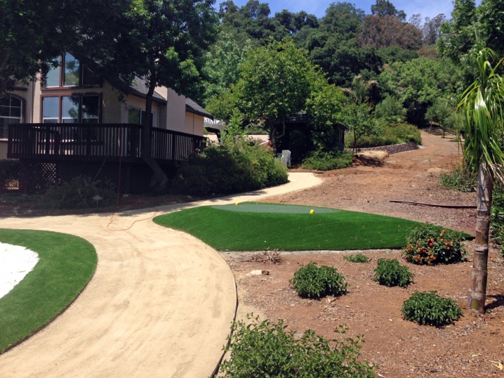 Artificial Lawn Young Place, New Mexico Landscaping, Front Yard