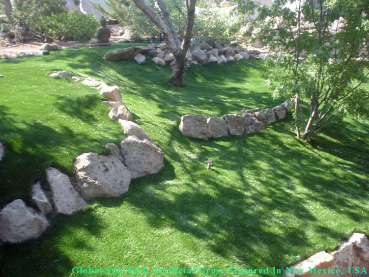 Artificial Turf Cost Corrales, New Mexico Gardeners, Pavers